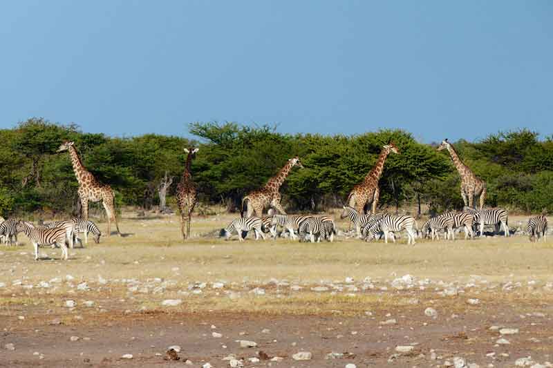 Namibia